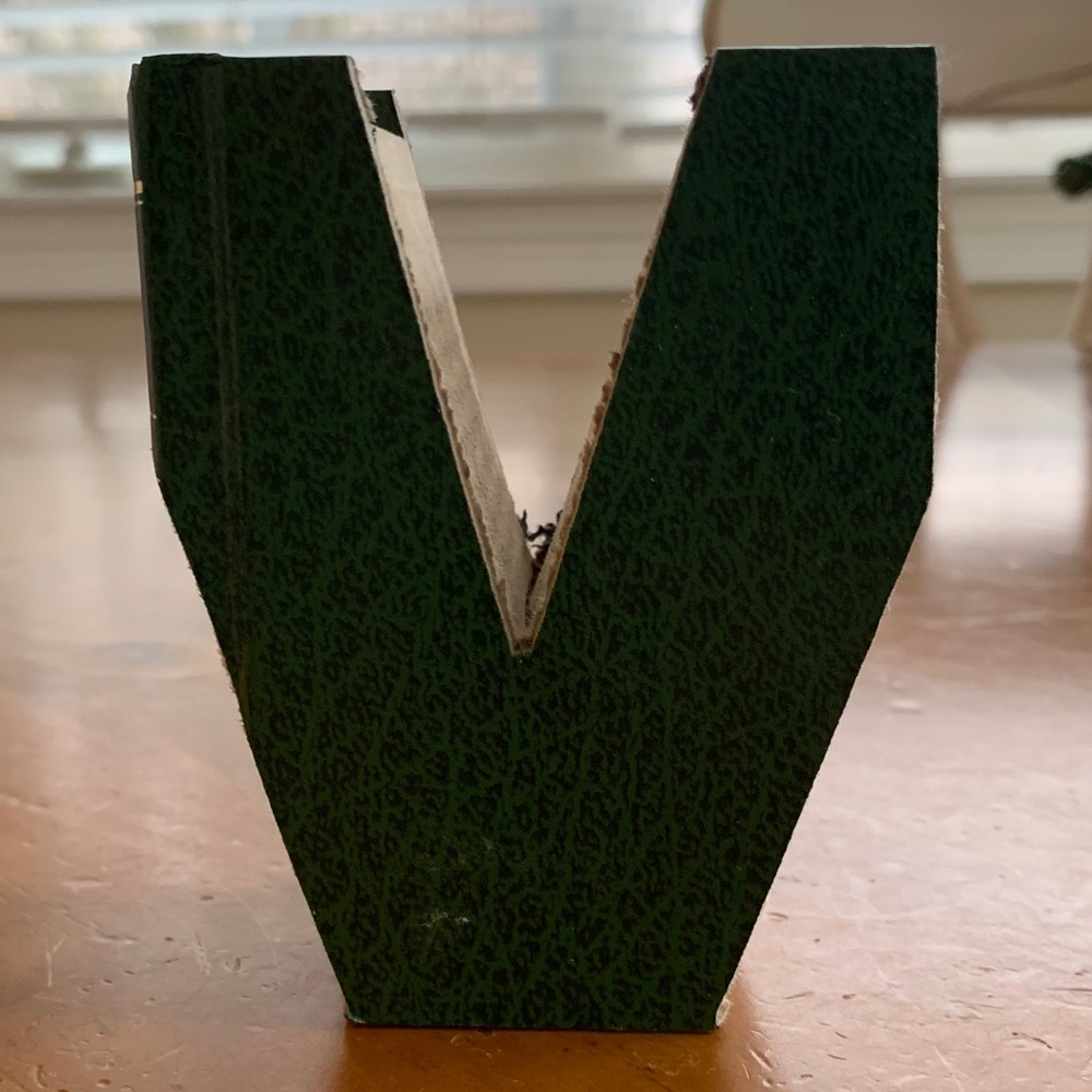 Anthropologie V initial accent book